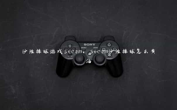 沙滩排球游戏steam，steam沙滩排球怎么黄油