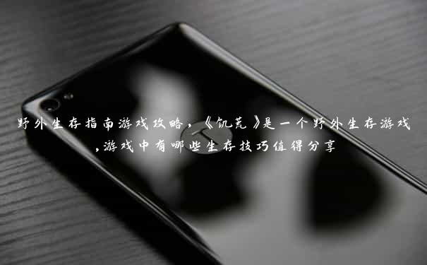 野外生存指南游戏攻略，《饥荒》是一个野外生存游戏,游戏中有哪些生存技巧值得分享