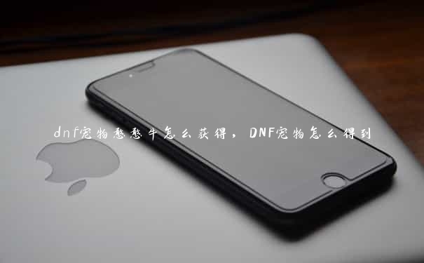 dnf宠物憨憨牛怎么获得，DNF宠物怎么得到