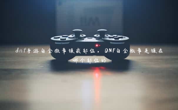 dnf手游白金徽章镶嵌部位，DNF白金微章是镶在哪个部位的