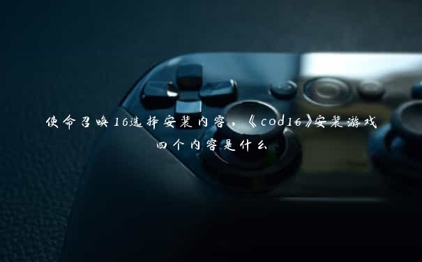 使命召唤16选择安装内容，《cod16》安装游戏四个内容是什么